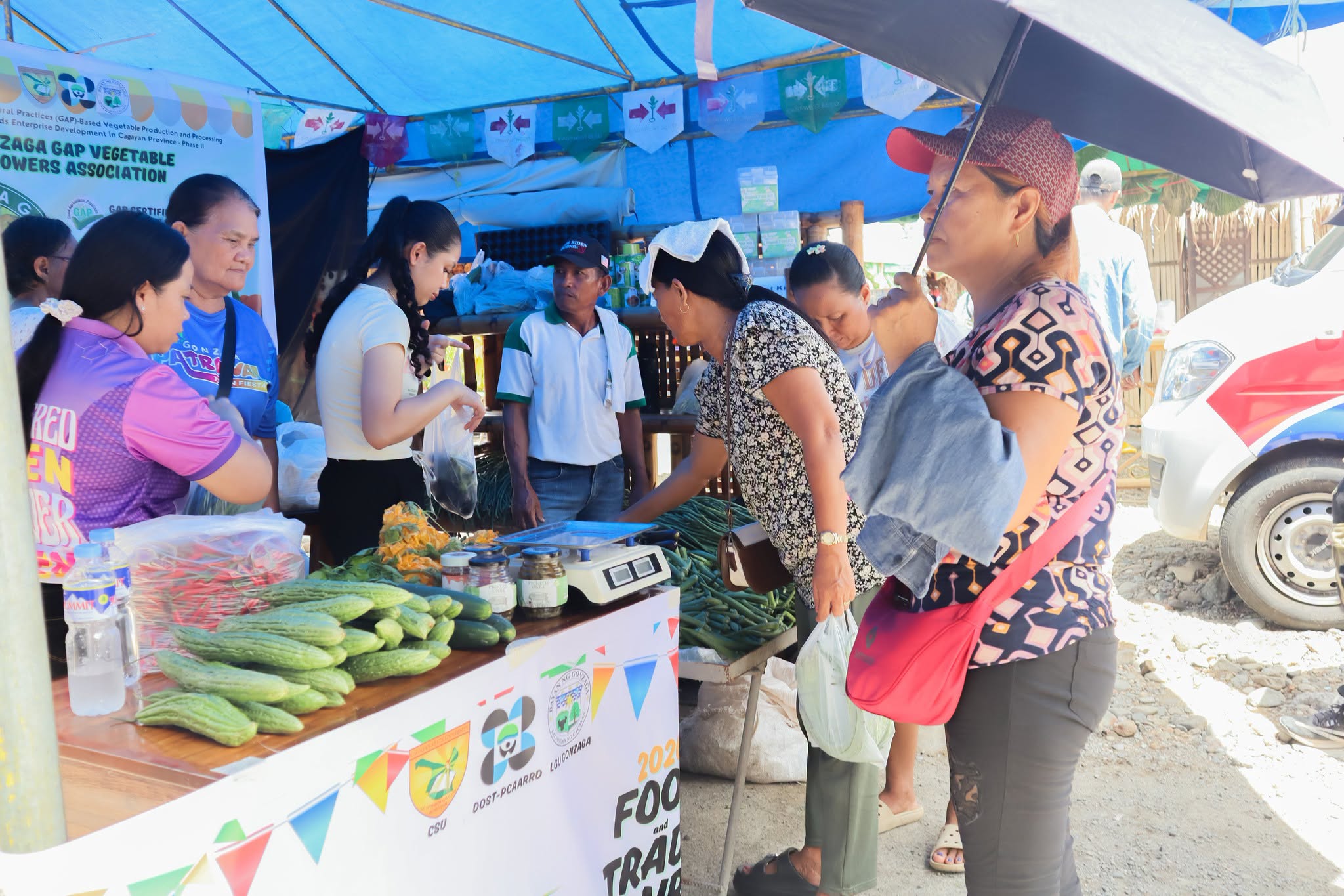 FROM FARM TO MARKET: GONZAGA GROWERS POST ₱44,105 SALES USING GAP-BASED VEGETABLE PRODUCTS photo 1